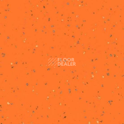 Линолеум Taralay Premium Indiana 4142 Penang фото 1 | FLOORDEALER